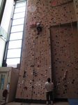 SX24163 Spider Jenni on climbing wall in Bussum.jpg